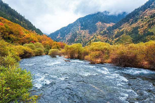 istock autumn forest in jiuzhaigou 512044781