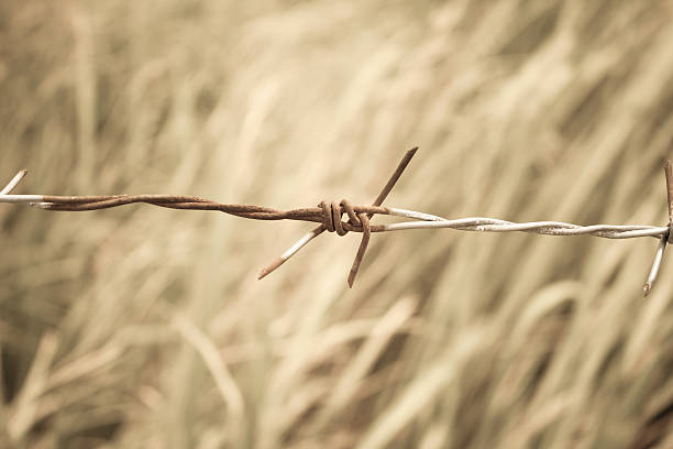 istock Barbed wire fence and green field closeup 512044988