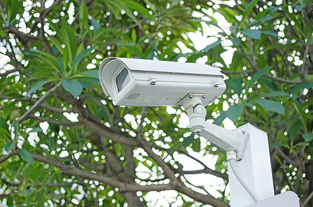 CCTV camera on a nature background.