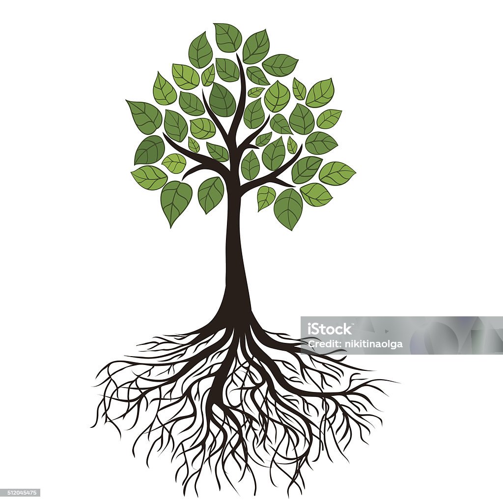 Tree with roots tree with roots and dense foliage, vector image Agriculture stock vector