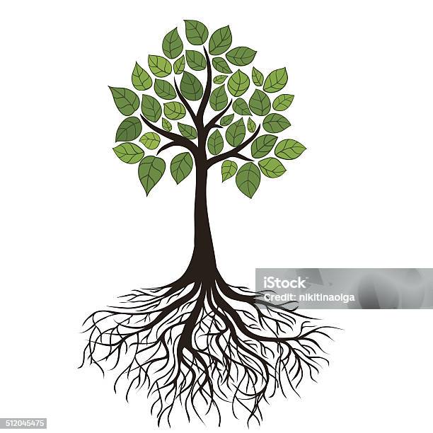 Tree With Roots Stock Illustration - Download Image Now - Agriculture, Botany, Branch - Plant Part