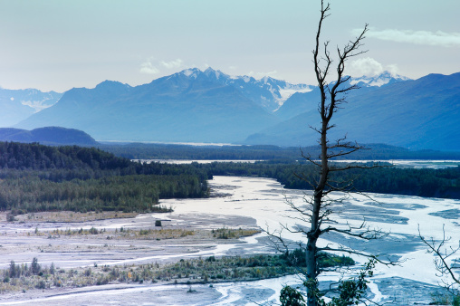 120 km long river flowing through the Matanuska-Susitna Valley, Alaska,USA.