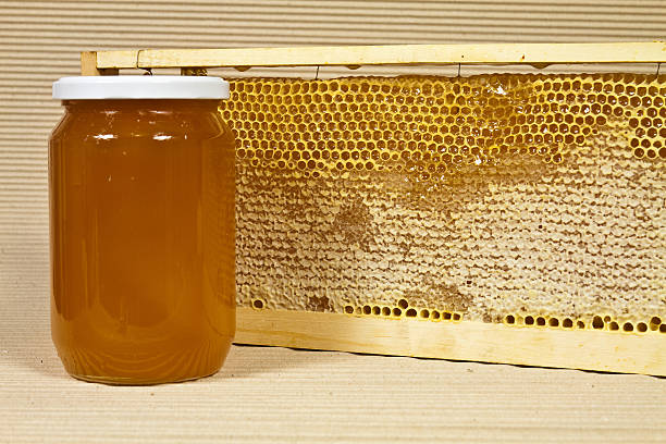 istock Waxed honeycomb with honey 512046217
