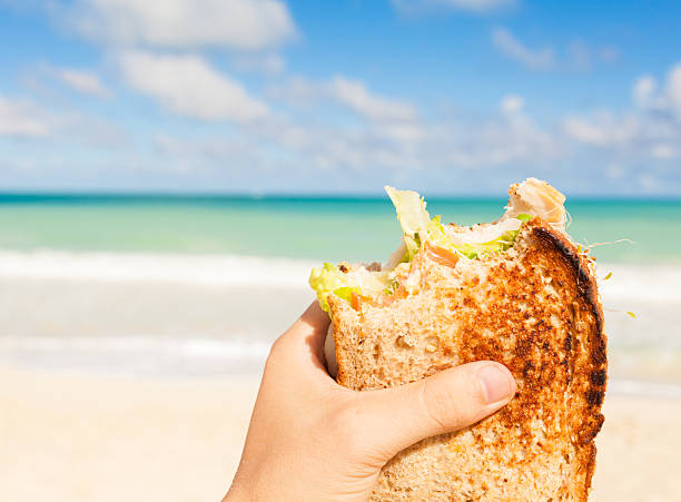 Sandwich at the beach Close up of man holding sandwich at the beach toasted sandwich stock pictures, royalty-free photos & images