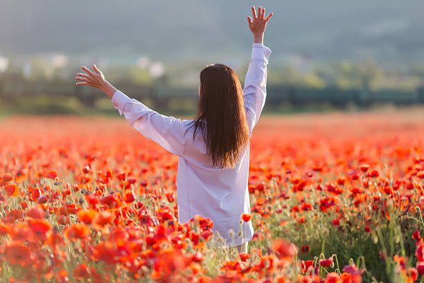 mädchen in blühende mohn feld - shirt white women blouse stock-fotos und bilder