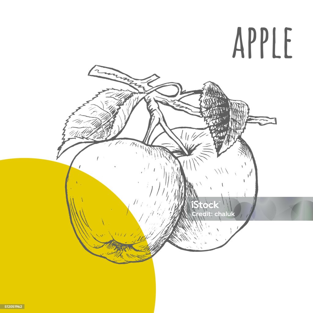 Яблоко векторные от руки карандаш обращается Эскиз - Векторная графика Яблоко роялти-фри