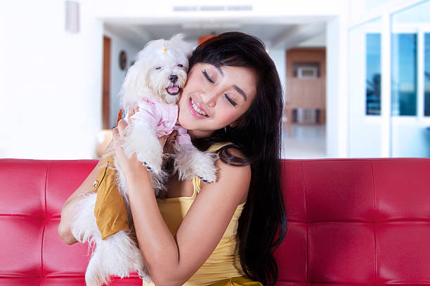 istock Happy woman hugging her dog at home 512053170