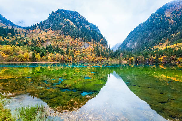 istock fairy tale autumn landscapes 512058927