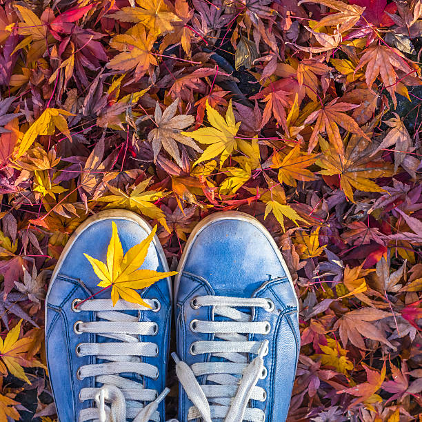istock Autumn season in hipster style shoes 512059986