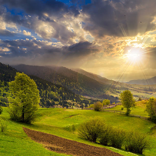 istock fence near meadow trees  in mountain at fall sunset 512083081