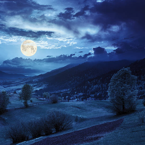 istock fence near meadow trees  on mountain in moon light 512083085