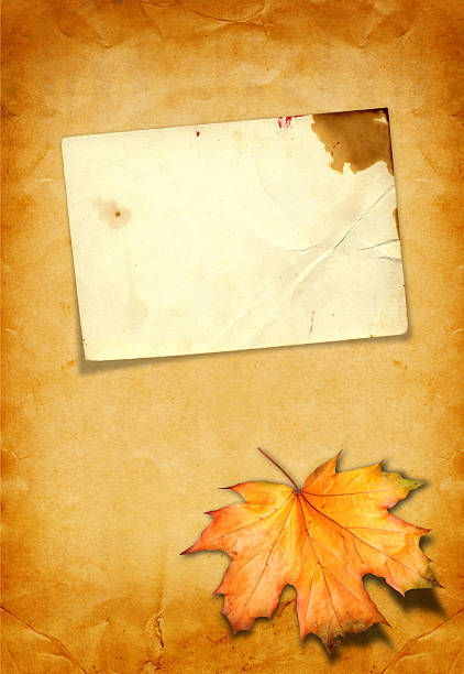 papel grunge com design em estilo de scrapbooking photoframe - dry leaves audio - fotografias e filmes do acervo