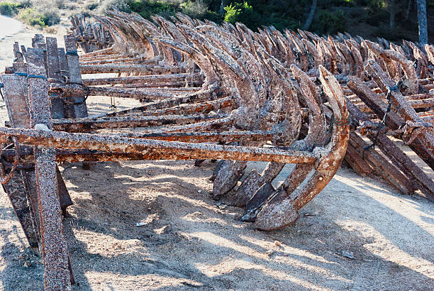 istock Large anchors abandoned and stacked, old and rusty. 512084619