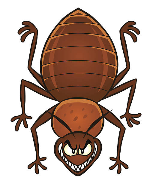 Cartoon Bedbug Stock Illustration - Download Image Now - Bedbug, Cartoon,  Anger - iStock