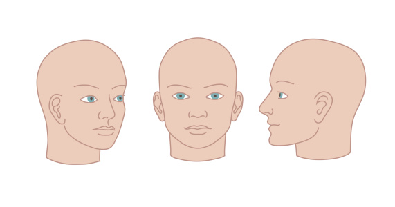 Human heads full-face, half-face and three-quarter. Vector silhouette illustration