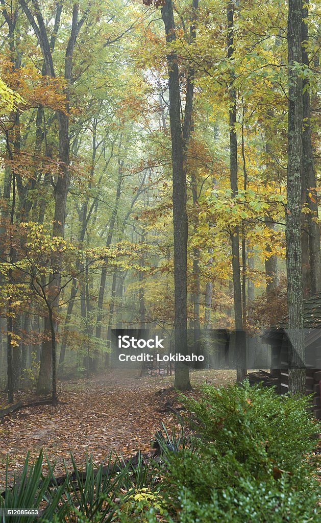 Holzstapel Road - Lizenzfrei Baum Stock-Foto