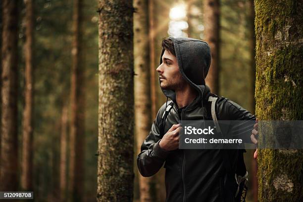 Young Man Exploring A Forest Stock Photo - Download Image Now - Nature, Teenager, Walking