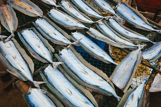istock seefood in Kien Giang, Vietnam. 512100884