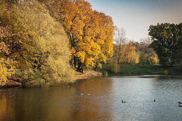istock Autumn in  Moscow parks, Russia 512101369