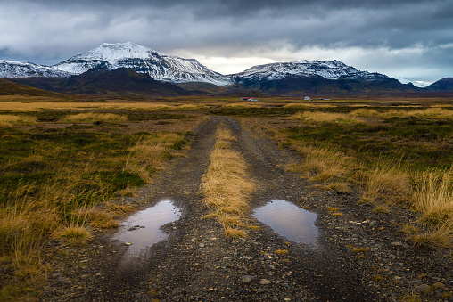 Rough road perspective in yellow field with snow mountain background in cloudy day autumn season countryside Iceland