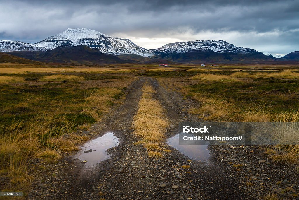 Rough road perspective in yellow field with snow mountain background Rough road perspective in yellow field with snow mountain background in cloudy day autumn season countryside Iceland Mud Stock Photo