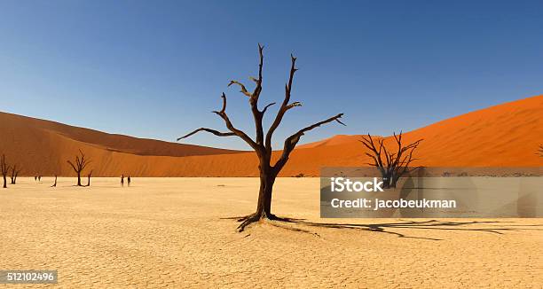 Deadvlei Sossusvlei Stock Photo - Download Image Now - Desert Area, Tree, Namibia