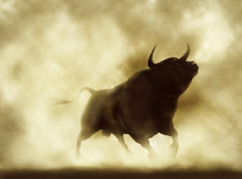 Angry bull photo