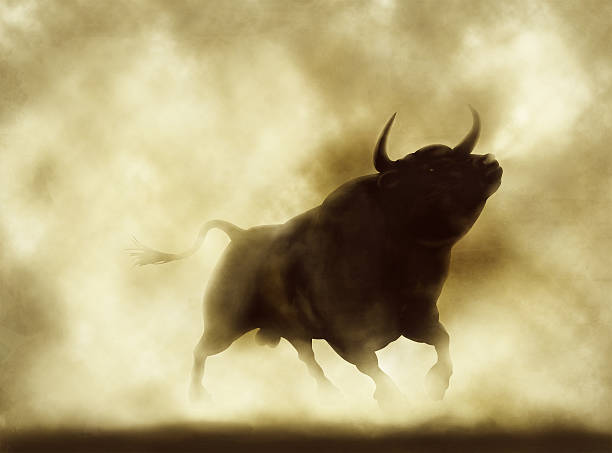 Angry bull Illustration of an angry bull silhouette in a smoky or dusty atmosphere animals charging stock pictures, royalty-free photos & images