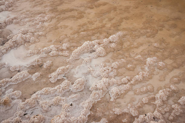 istock Russian Dead Sea - Lake Baskunchak, Russia 512103337