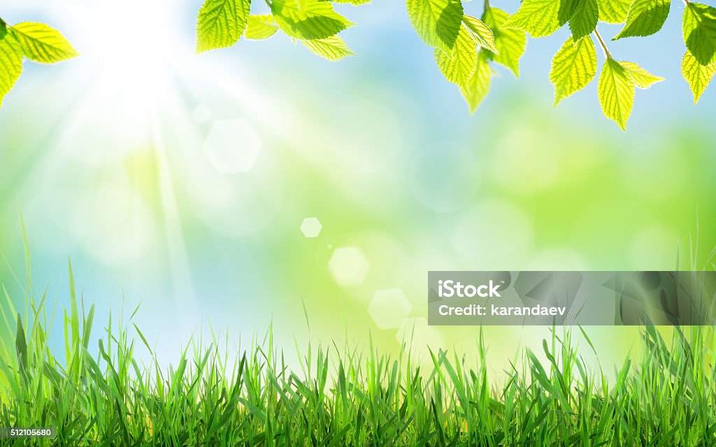 Abstracto fondo soleado de primavera - Foto de stock de Fondos libre de derechos