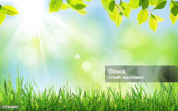 Abstract Sunny Spring Background Stock Photo - Download Image Now - Backgrounds, Grass, Easter