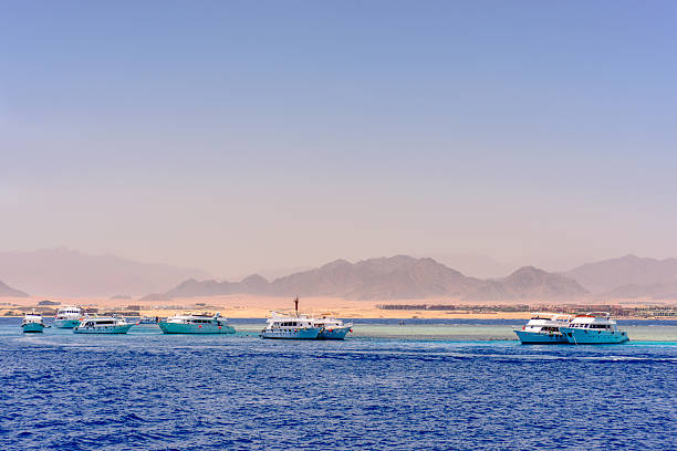 istock Group of tour ships and dive boats 512105900