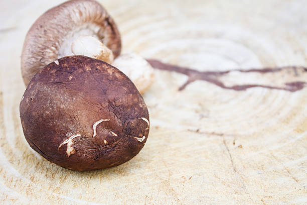 shiitake hongos en una placa de corte de madera - shiitake mushroom mushroom dried food dried plant fotografías e imágenes de stock