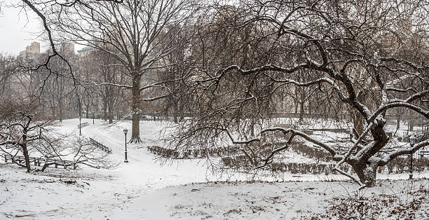 istock Central Park, New York City 512108868