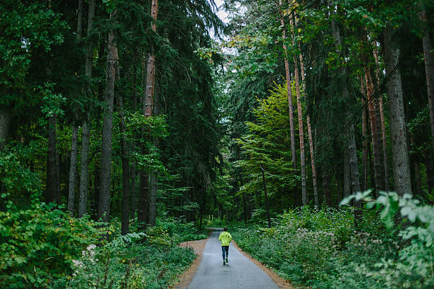 homme jogging sur un chemin dans la forêt verte. - cross coat photos et images de collection