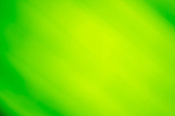 istock Natural abstract background green color 512111300