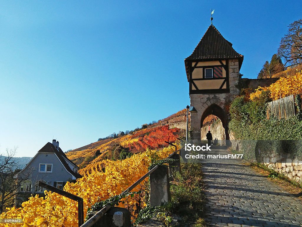 Vineyard and tower in Esslingen Vineyard and tower in Esslingen, Germany at autumn, mobilestock Germany Stock Photo