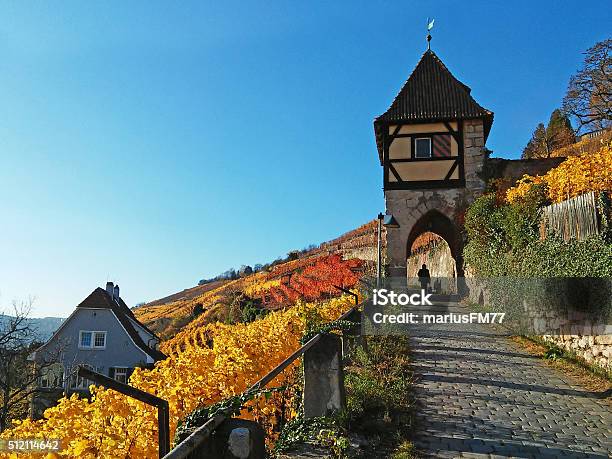Vineyard And Tower In Esslingen Stock Photo - Download Image Now - Germany, Stuttgart, Vineyard