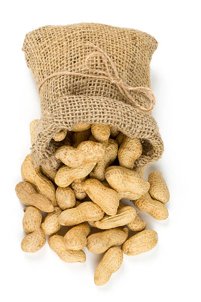 istock peanuts in a miniature burlap bag isolated on white 512114944