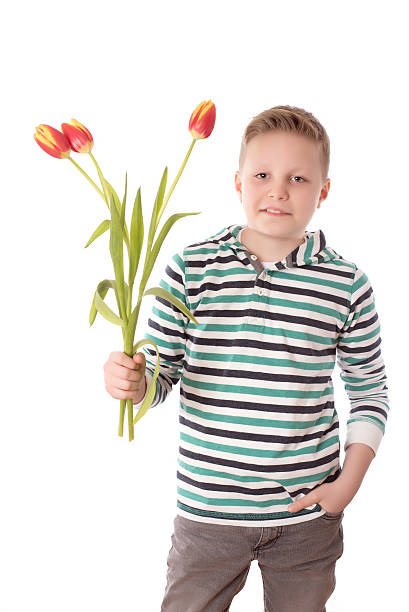 Young boy with tulips isolated on white background Handsome young boy with tulips isolated on white background larrikin stock pictures, royalty-free photos & images