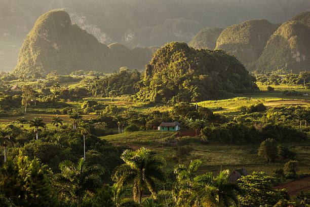 istock View over landscape with mogotes in Vinales 512118298