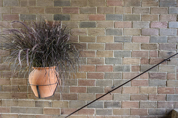 hanging vase of dry pennisetum on a vintage brick wall - vase texture stockfoto's en -beelden