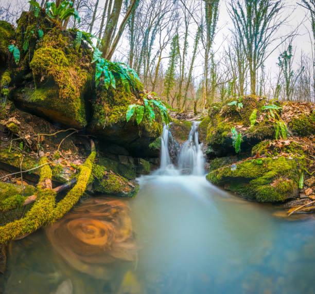 istock Beautiful Waterfalls in the deep forest 512118782