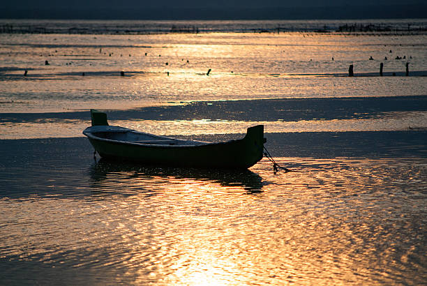 postes ao pôr do sol - seaweed nusa lembongan seaweed farming water imagens e fotografias de stock