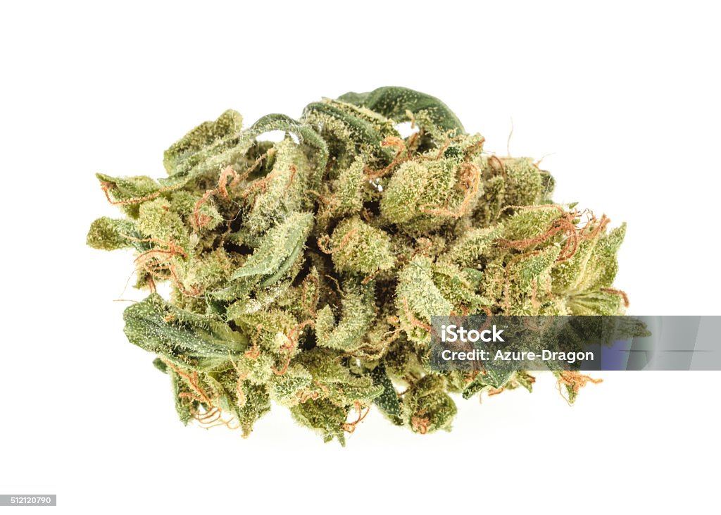 Marijuana buds isolated on white background Cannabis Plant Stock Photo
