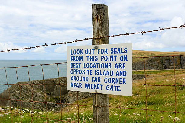 istock Cardigan Bay in Wales, UK 512120822