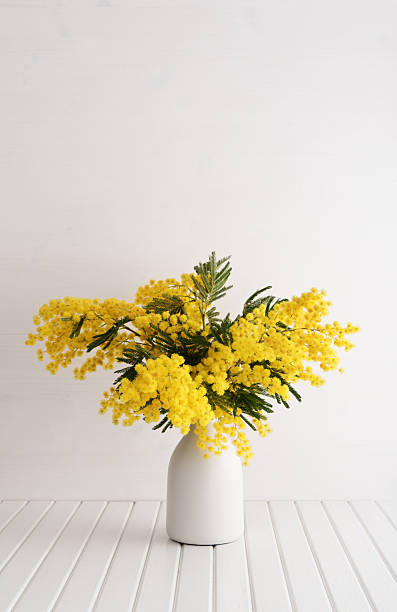 jarrón con flores mimosa - wood single flower flower bouquet fotografías e imágenes de stock