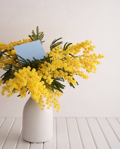 istock Vase with mimosa flowers 512122494
