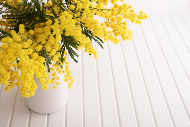 istock Vase with mimosa flowers 512122592