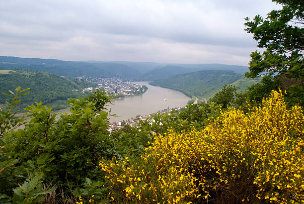 istock Boppard at the River Rhine 512124720